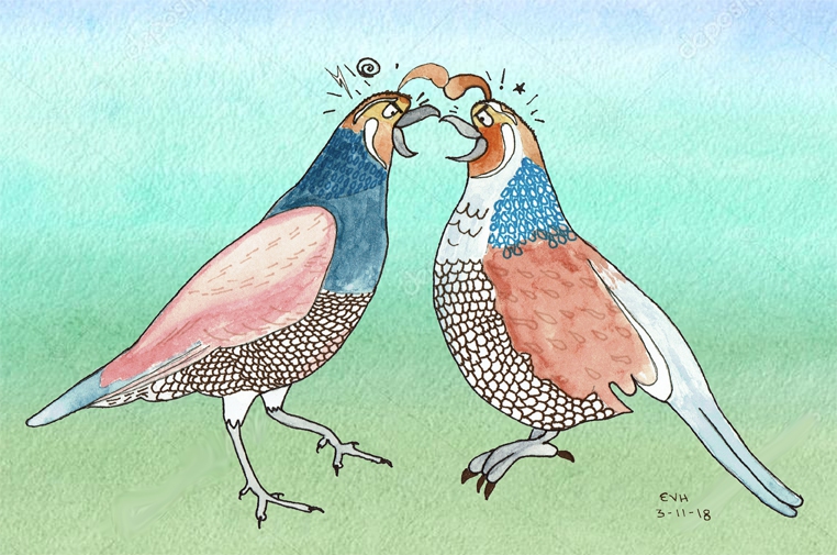 Oh, Those Quarreling Quail!