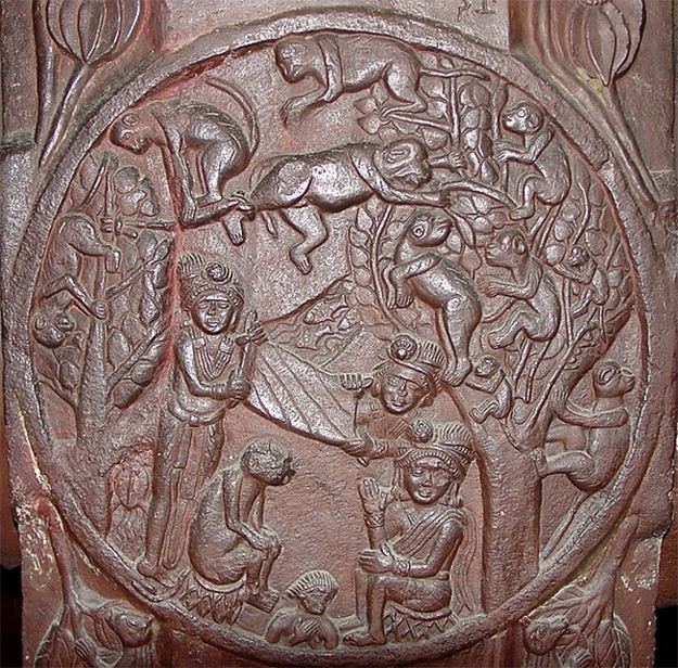 The The Monkey King relief from the Bharhut Stupa